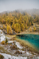 autumn mood with yellow larches arround partly frozen alpine lake in Valais