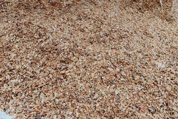 sawdust and wood shavings. background and texture of wood processing waste