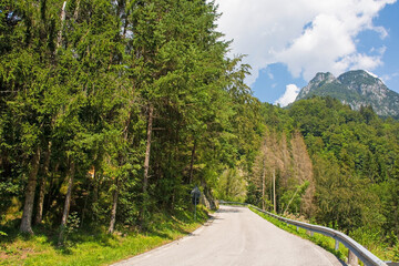 Fototapeta na wymiar The summer landscape near the Sella Cereschiatis mountain pass in Udine Province, Friuli-Venezia Giulia, north east Italy 