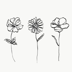 Set flower line art. abstract modern or minimal. perfect for home decor such as posters. vector illustrations design