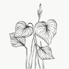 Monstera leaves line art. abstract modern or minimal plants line. perfect for home decor such as posters. vector illustrations design