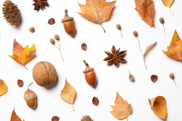 Flat lay composition with autumn leaves on white background