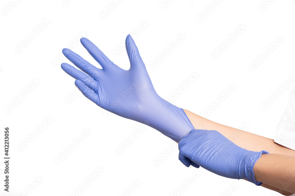 Wall mural man's hands wearing violet latex gloves by pulling another side for perfect fit, isolated on white b