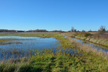Winter in the wetland lagoon area near Grado, Friuli-Venezia Giulia, north east Italy

