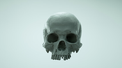 Human skull in full face on saturated colors on a light background. The concept of death, horror. Spooky Halloween symbol, virus. 3d render illustration.