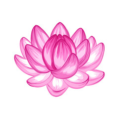 Illustration of lotus flower.