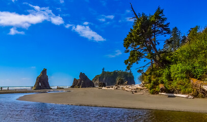 Marine landscape. Small islands and rocks on the shores of the Pacific Ocean in Olympic National Park, Washington