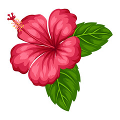 Illustration of tropical hibiscus flower. - obrazy, fototapety, plakaty
