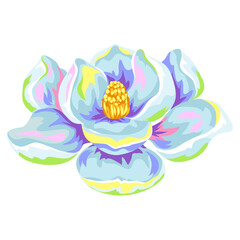 Illustration of tropical magnolia flower.