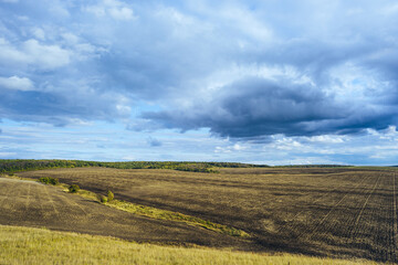 Obraz premium Field after harvesting, blck earth. The soil processed by a disk harrow. Cultivated land prepared for sowing. Hilly landscape with dramatic sky, field forest.