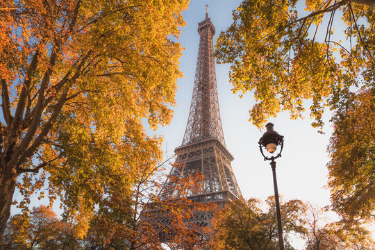 The iconic Eiffel Tower framed by vibrant autumnal foliage in Paris, France.