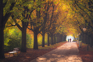 A distant silhouette elderly couple enjoy a stroll on a a crisp autumn day at Ufschotti Park in...