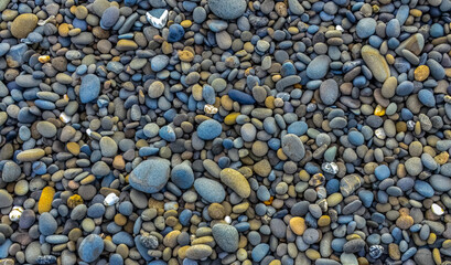 Multicolored round pebble stones on the Pacific Ocean in Olympic National Park, Washington