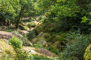 Fototapeta na wymiar Landscape of Huelgoat with moss covered rocks. Forest like in fairy tales, at Huelgoat, Finistere, France. 