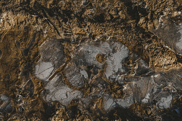 eine vereiste Matsch Pfütze im Winter