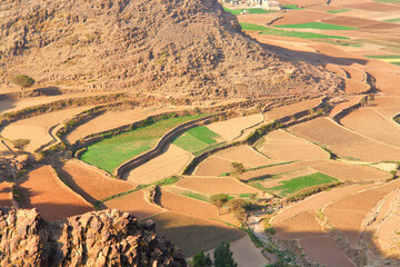 View of Yemeni terraced fields