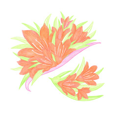 Watercolor small composition with orange lily flowers and green leaves for the holidays