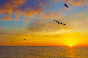 Sunrise over the sea.Gulls over the water at dawn.