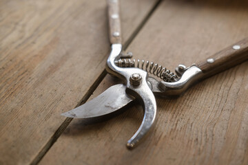 The pruner is lying on a wooden table