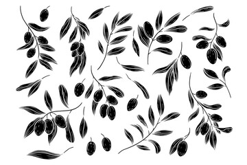 Hand drawn vector olive branches illustration. Isolated black linocut olives clipart. Olives elements set. Graphic block print olives.