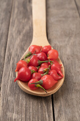 Red pepper pout on a spoon over wooden table
