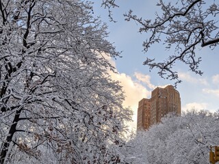 Central Park in the snow pretty sky
