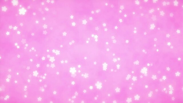 Looping cherry blossom background video