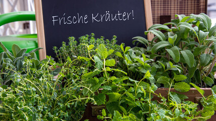 Frische Kräuter wie Salbei, Melisse usw. mit Kreidetafel auf einem Marktstand