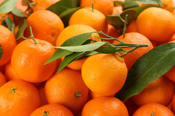 Fresh tangerines with green leaves as background, closeup