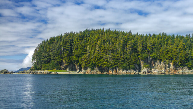 Landscape of Forrest Trees and Mountains on the Coast of Alaska