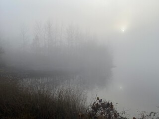 Obraz na płótnie Canvas fog in the fog