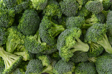 Fresh broccoli cabbage as background