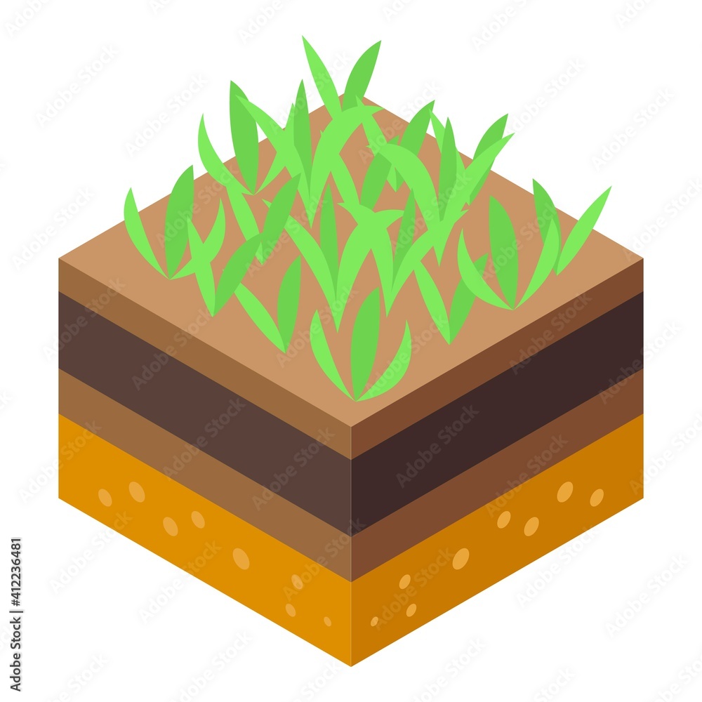 Poster grass and ground icon. isometric of grass and ground vector icon for web design isolated on white ba