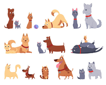 Cats and dogs friends collection. Different kinds of together sitting, lying, playing or walking isolated on white background. Funny flat cartoon colorful friendship pets set. Vector illustration
