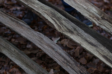 Diagonally placed sticks of wood lying over brown autumn foliage