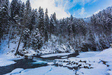 the wonderful winter landscape with snowy fir trees and river