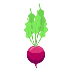 Farm radish icon. Isometric of farm radish vector icon for web design isolated on white background