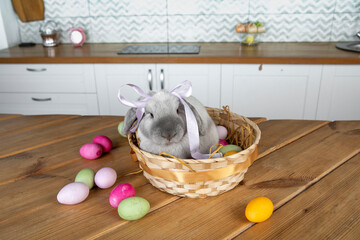 Easter bunny in the nest with colorful eggs on the table in the kitchen. Festive Easter preparing...
