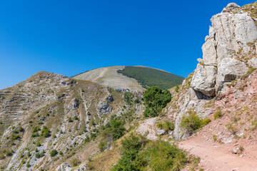 landscape with blue sky