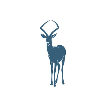 Antelope design vector illustration, Creative antelope logo design concepts template, icon symbol
