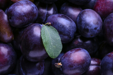 Many ripe plums as background