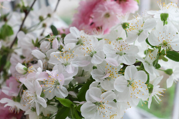 springtime. bouquet of spring flowers on white background 