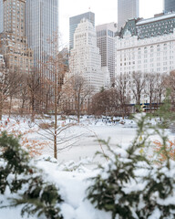  winter, in Central Park New York after snow storm