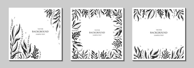 Floral vector templates with leaves, plants. Abstract natural elements. Silhouette of plant. Botanical art. Print for holiday posters, greeting cards, backgrounds, covers, banners, invitations. 