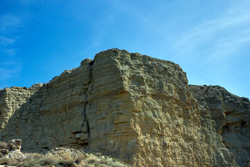 Galacho de Juslibol, unique and singular ecosystem, a protected natural area located next to the Ebro river.