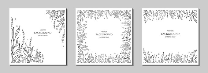 Floral vector templates with leaves, plants. Abstract natural elements. Silhouette of plant. Botanical art. Print for holiday posters, greeting cards, backgrounds, covers, banners, invitations. 