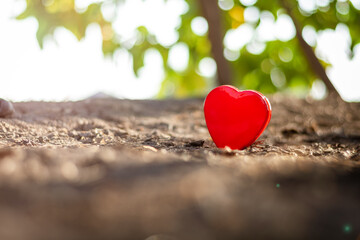 Fototapeta premium lonely red heart on the ground. - health care, love, organ donation, mindfulness, wellbeing, concept. - world heart day, world health day, National Organ Donor Day.