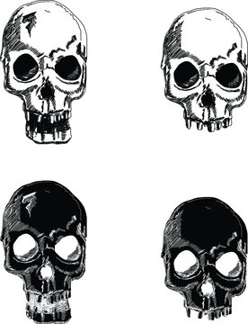 hand drawn Skulls Wings Tattoo.Sketch design Horror skull with floer and wings of bird isolate on white background. 