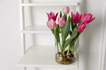 Beautiful tulips with bulbs on decorative ladder near white wall. Space for text