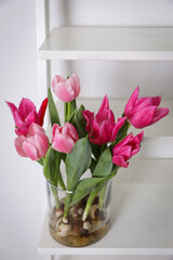 Beautiful tulips with bulbs on decorative ladder near white wall